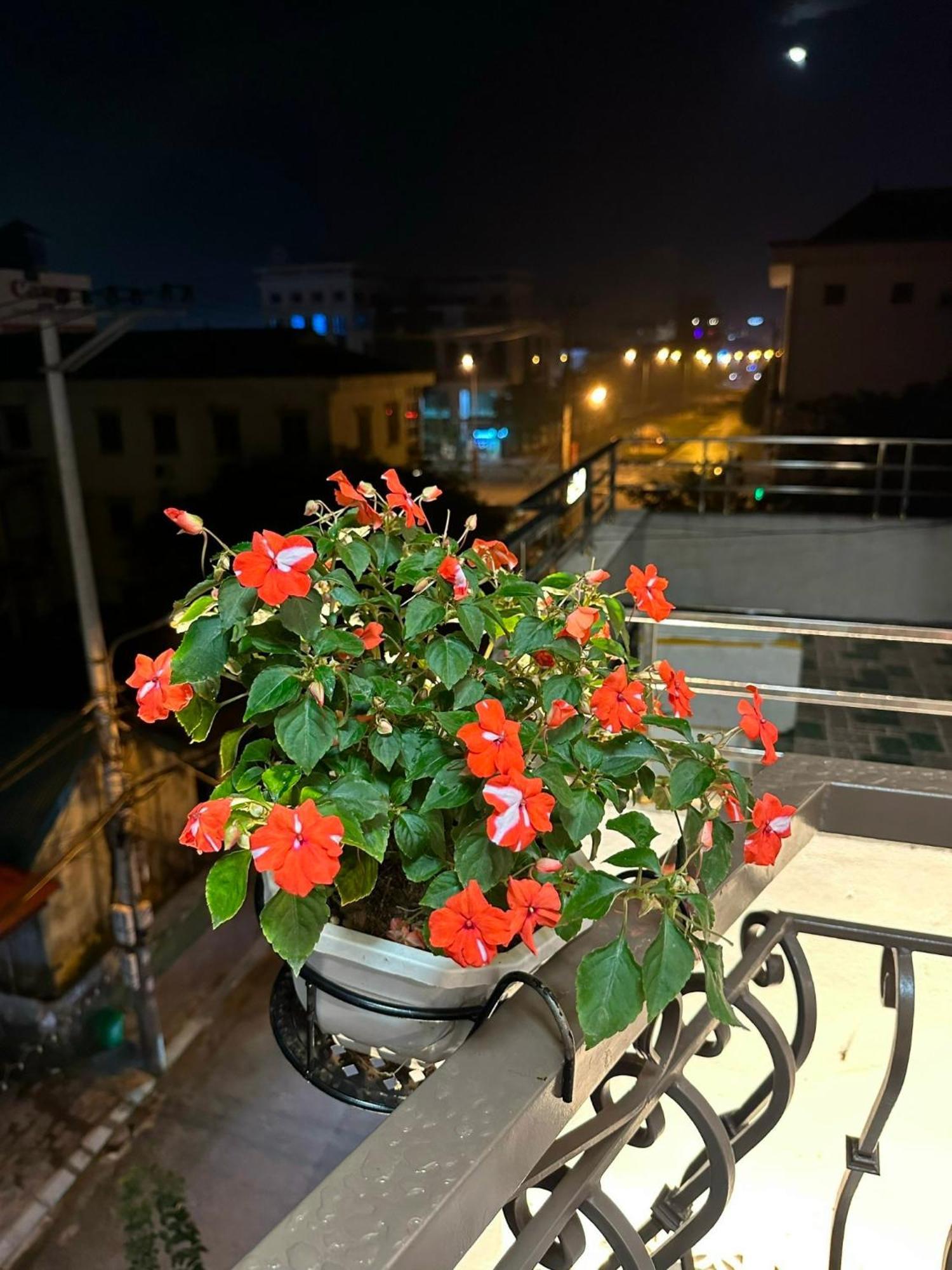 Dolce Mia Home Ninh Binh Eksteriør billede